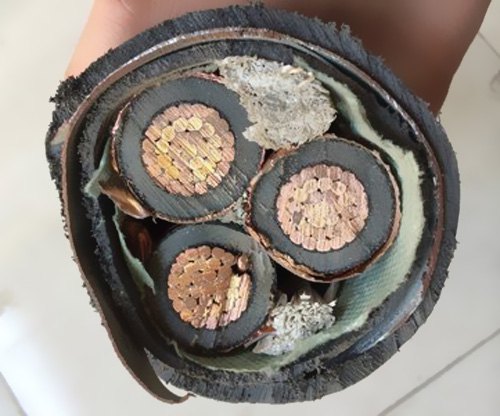  我國電纜工業已構成類別較完全、規劃較大